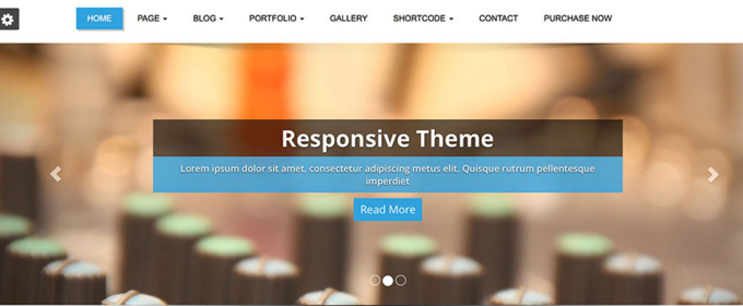 top wordpress theme